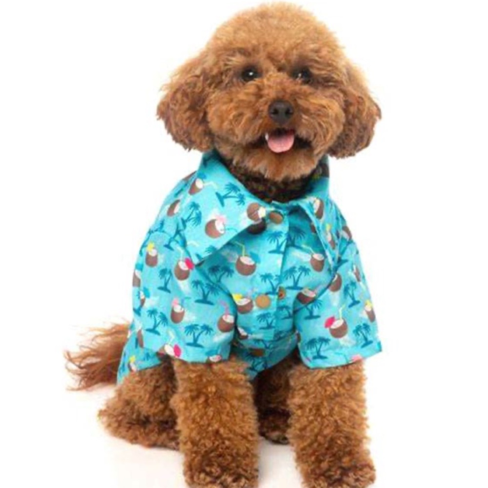 Hawaiian shirt for dogs
